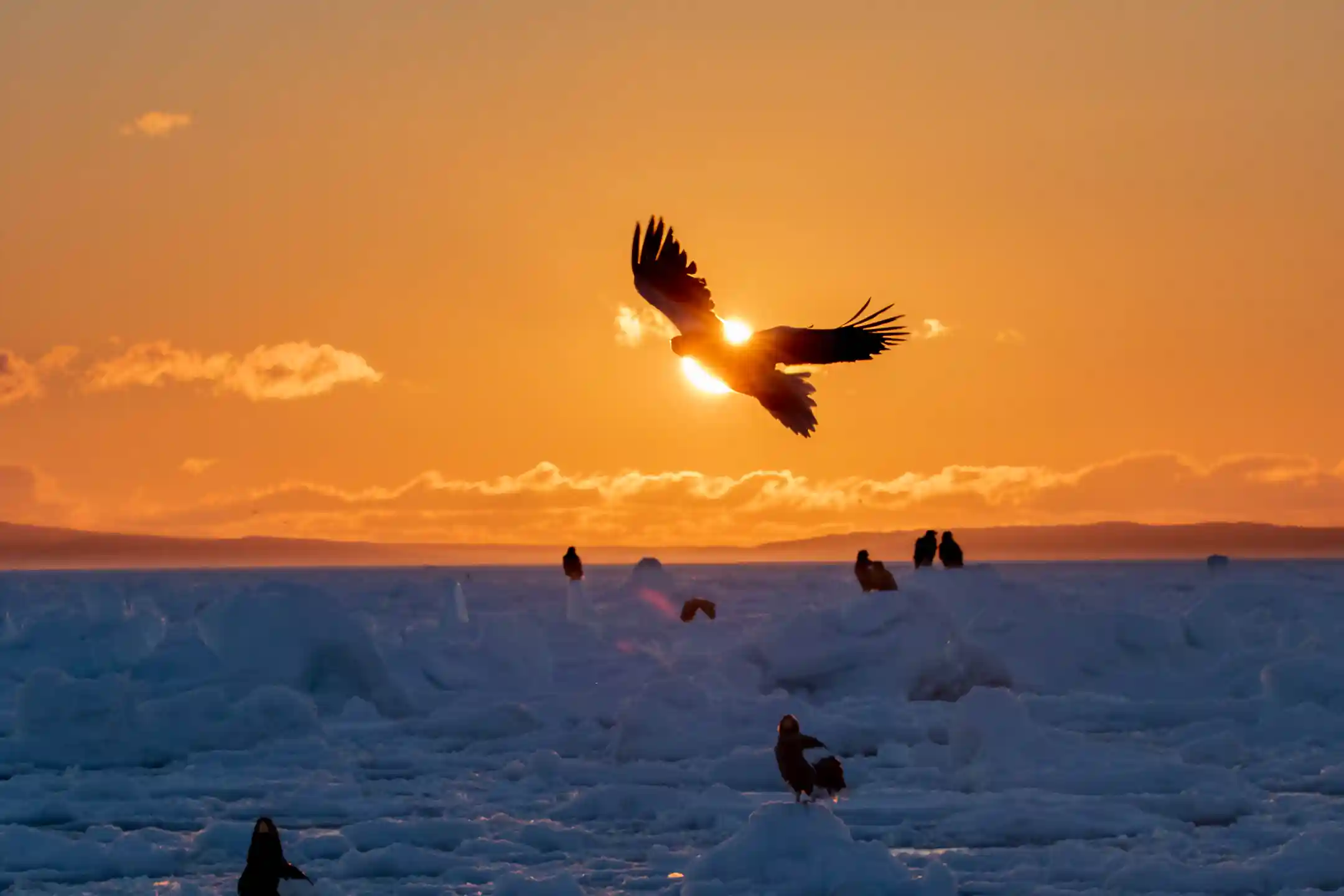 Hokkaido Travel｜Your Complete Hokkaido Vacation Guide to Savoring Stillness, Wellness and Sustainable Luxury