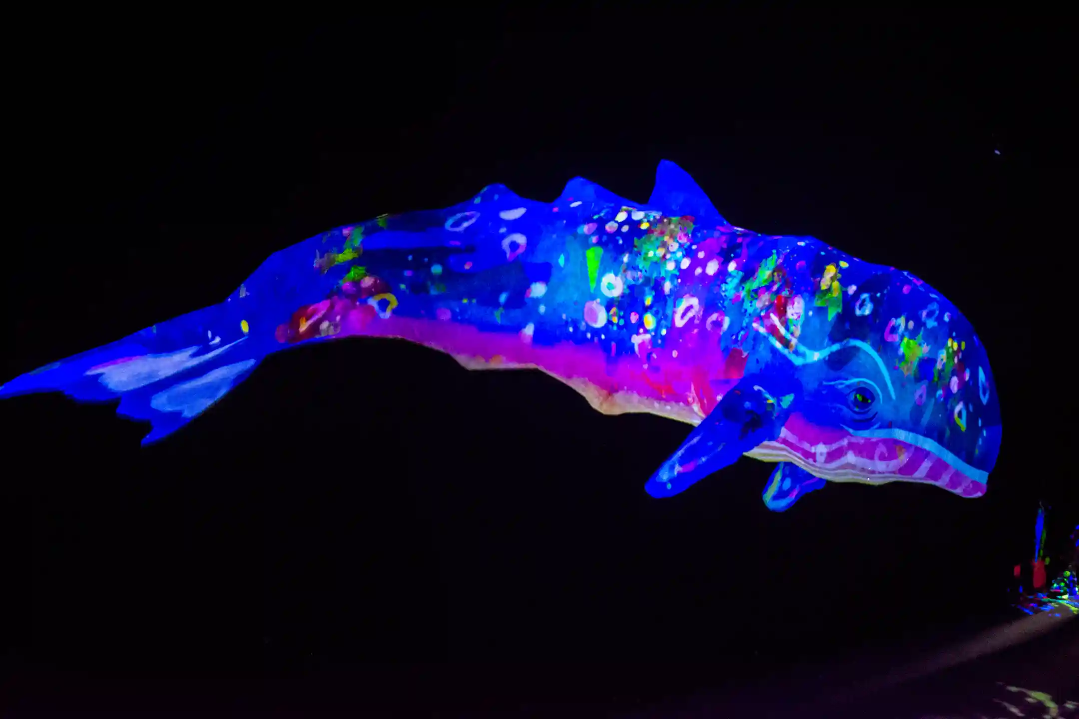Tokyo Sensory Museum Complete Guide｜Recommended Immersive Art, How to Explore and Ticket Information