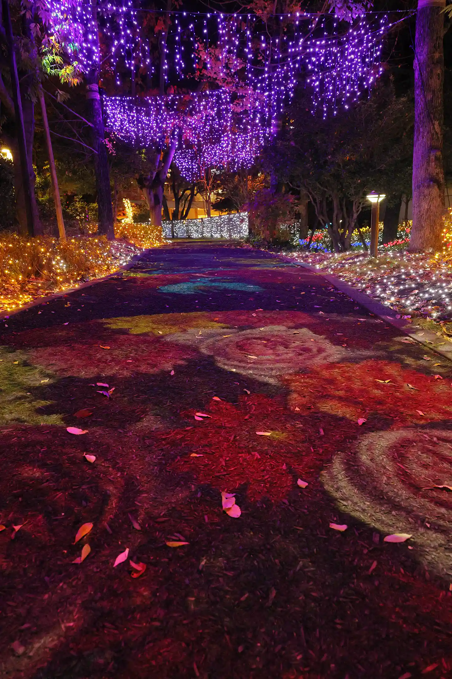 A street decorated with illuminations