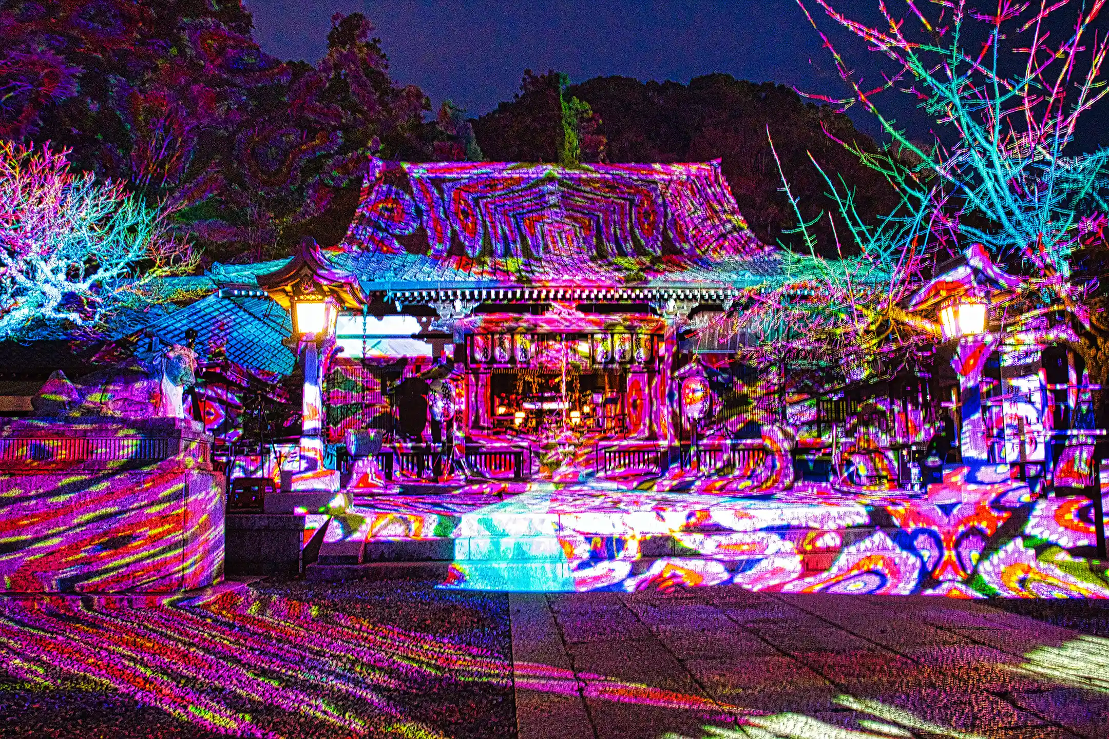 A Complete Guide to the Tokyo Immersive Experience—How to Enjoy Sophisticated Art × Digital in the Shortest Time