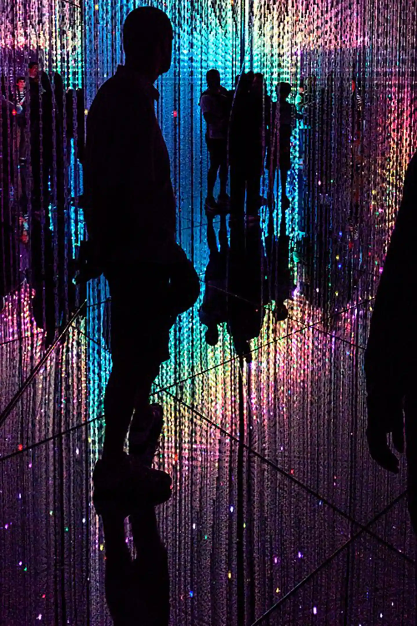 TeamLab_Borderless,_Odaiba,_Tokyo,_Japan_(49070113608)