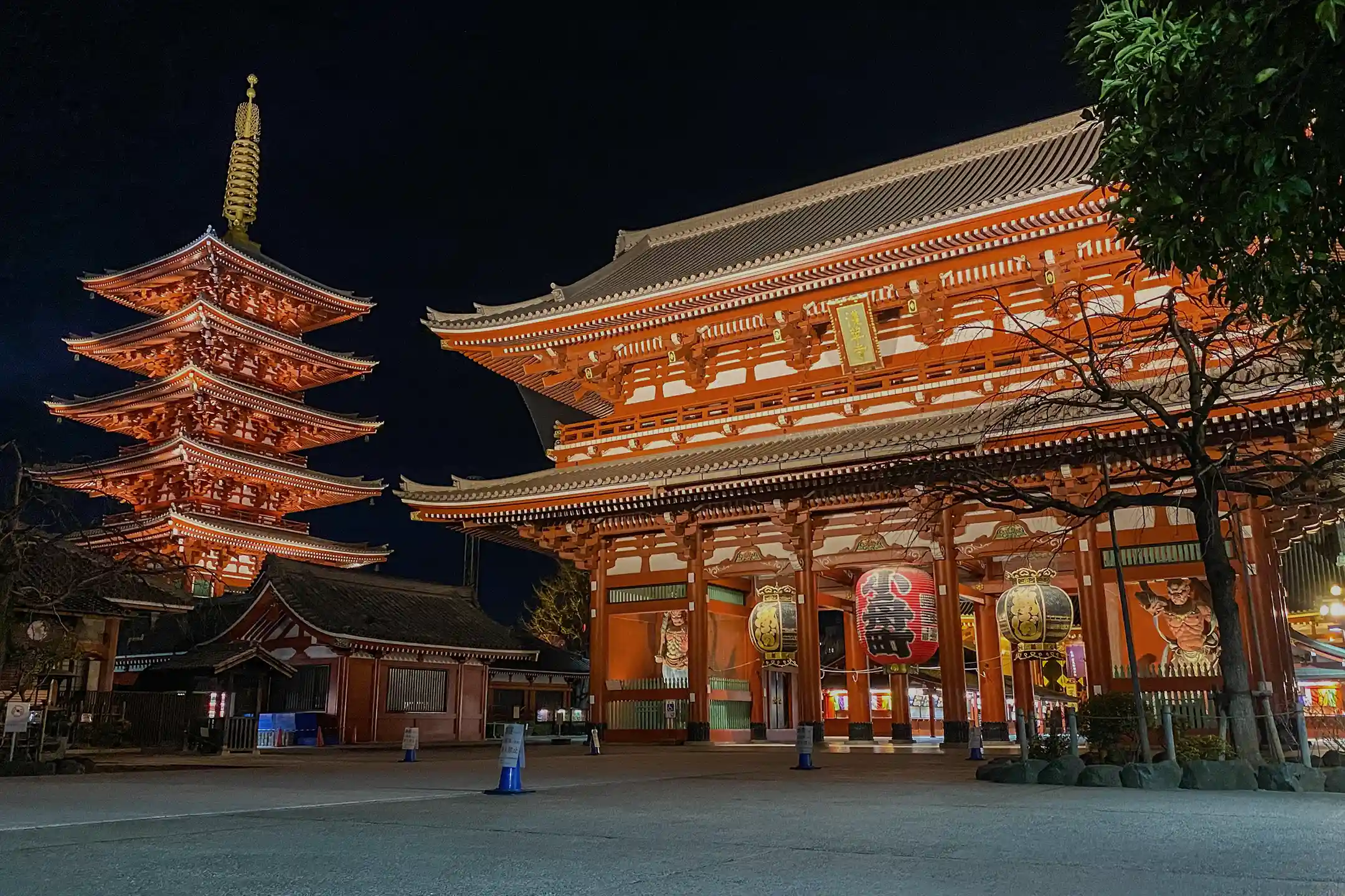 The Complete Guide to Things to Do in Tokyo, Japan | A Refined Journey Through Quiet and Culture
