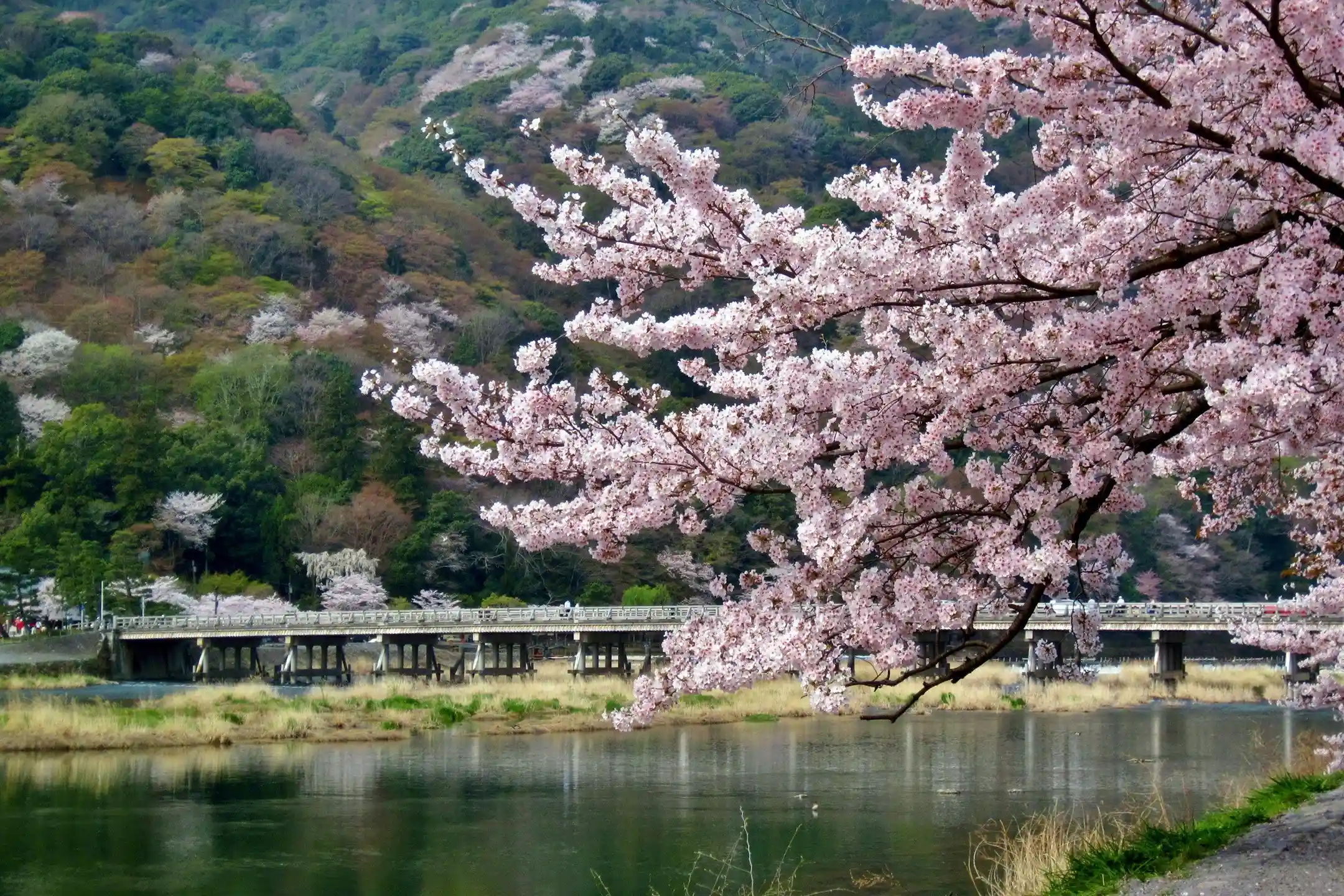 Kyoto’s Luxury Hot Springs: A Refined Soak Where Culture Meets Sophistication