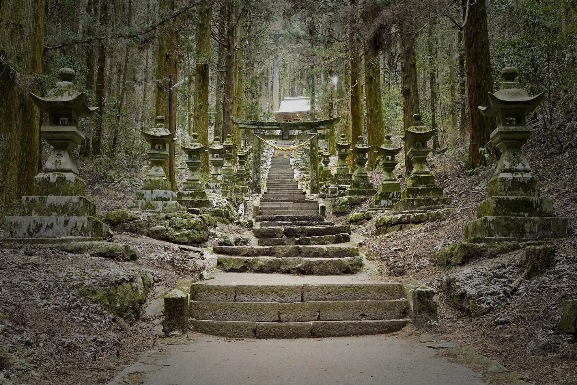 What Is Shugendō? Yamabushi, Beliefs and Japan’s Mountain Spirituality Explained