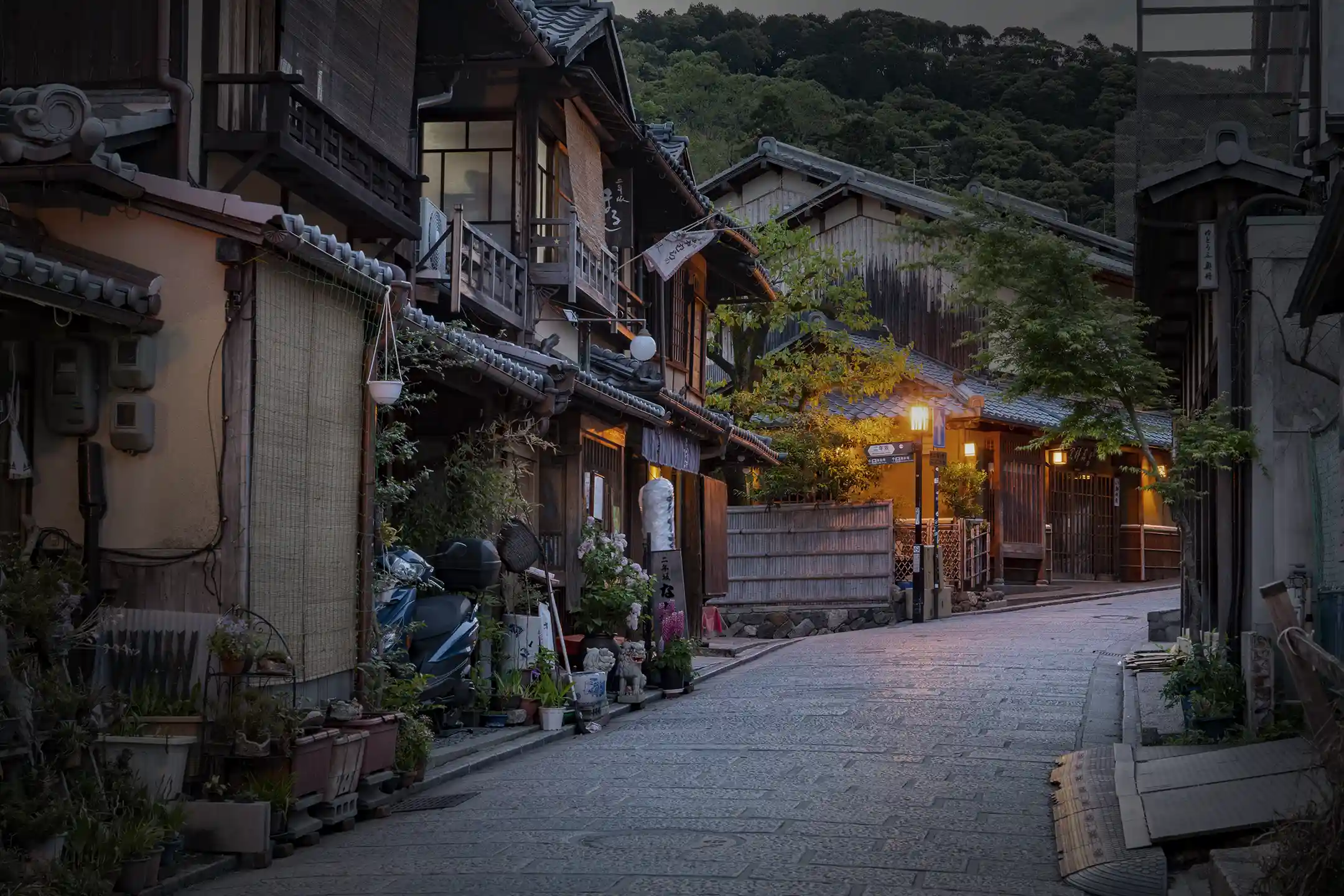 A Refined Journey Through Japanese History and Architecture—Exploring Kyoto’s Temples and Ozu Castle