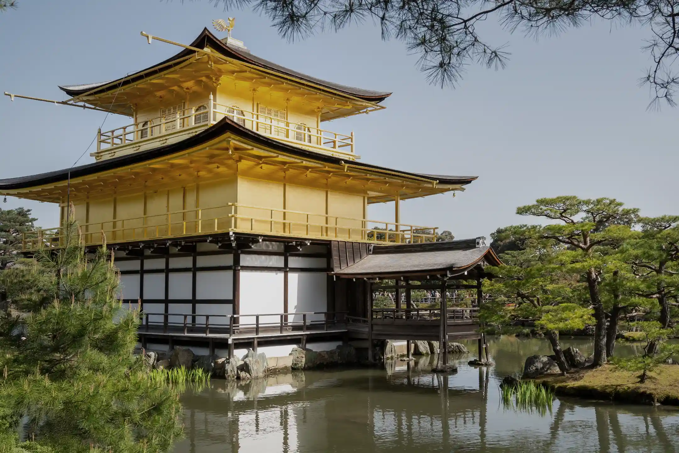 Kyoto Restaurants Guide: A Culinary Journey Weaving Tradition and Innovation