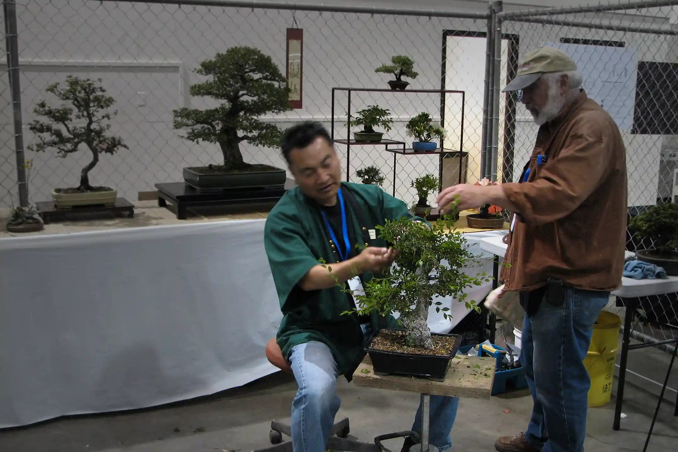 Bonsai Masters’ Art of Tranquility — A Journey to Experience the Essence of Japanese Culture