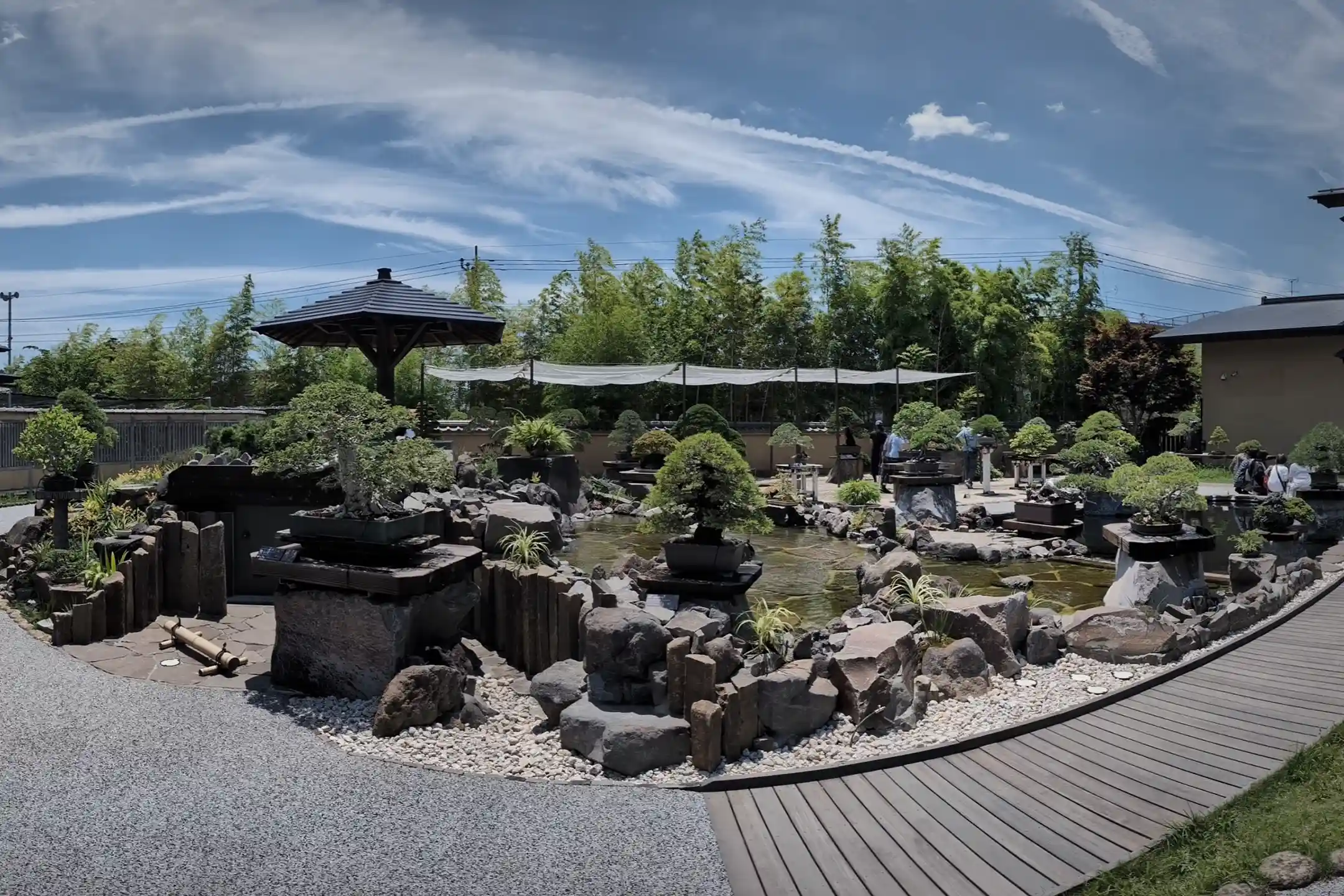 Bonsai Trip – An Elegant Quest for the Quiet Beauty of Japanese Culture