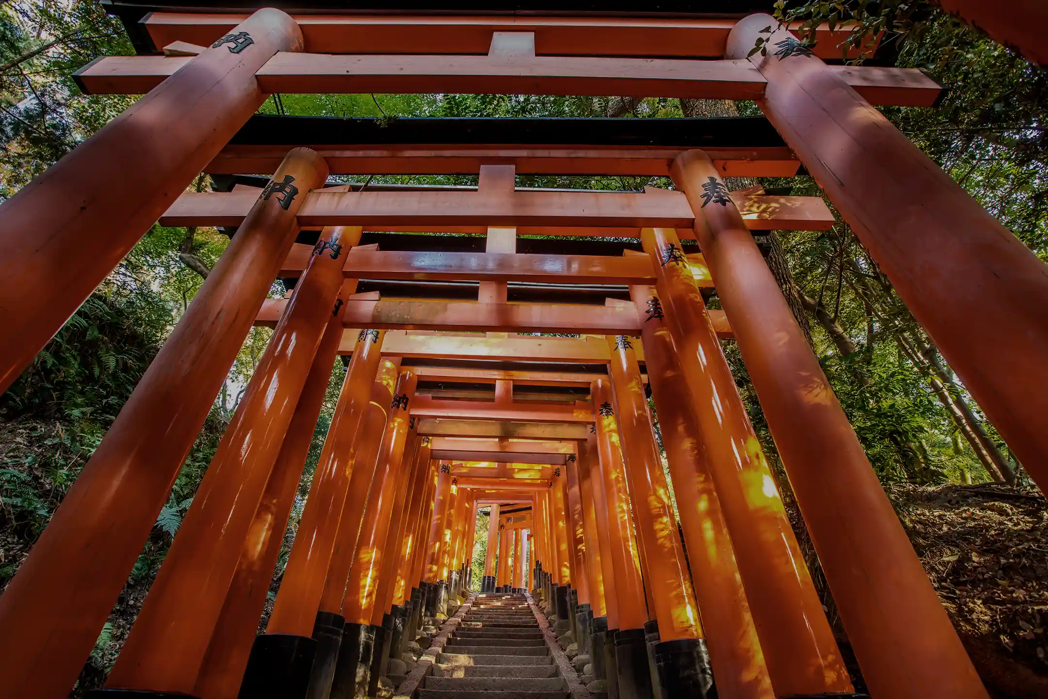 Fushimi Inari-Taisha Shrine: A Journey Through History and the Aesthetics of a Thousand Torii Gates