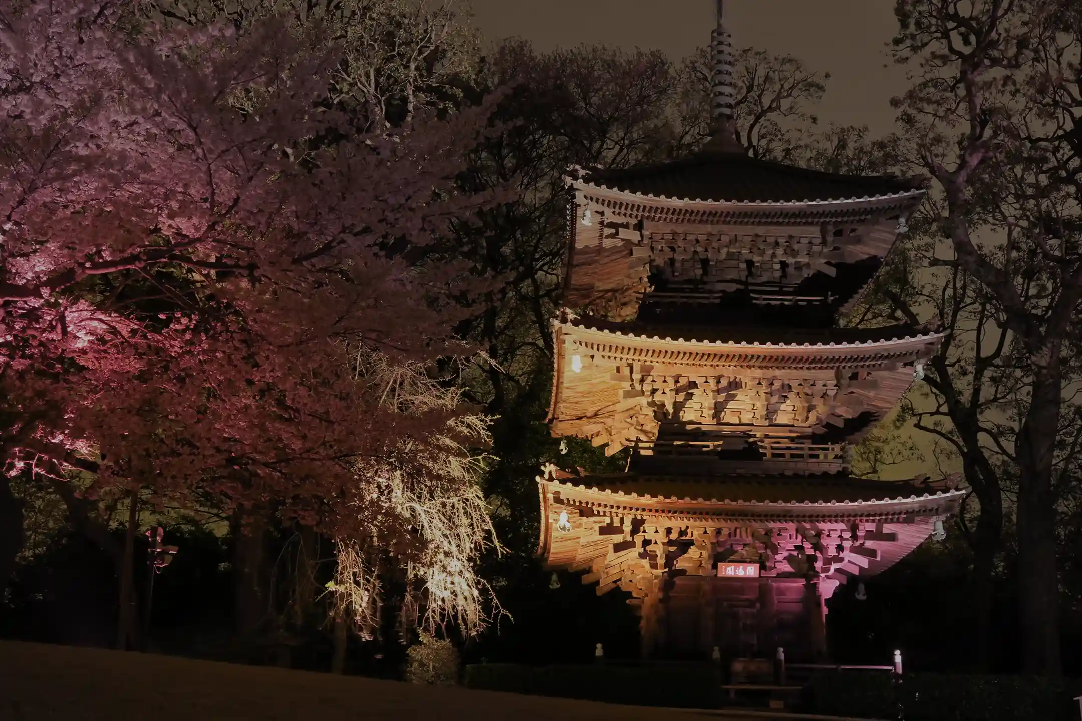 Tokyo Tea Ceremony Experience Guide: 8 Spots Where Tradition Meets Modernity