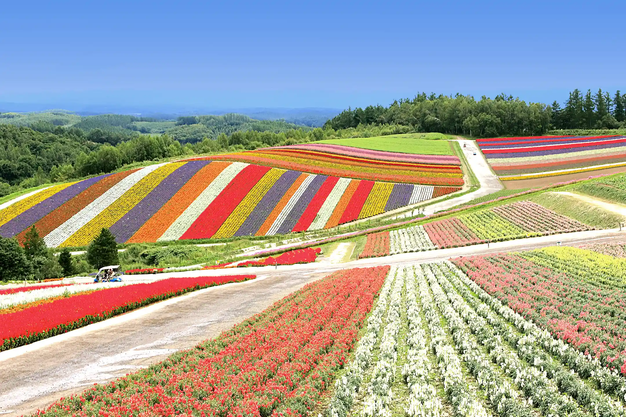 Complete Guide to the Ultimate Hokkaido Tour Package｜Wellness × Sustainable × Luxury