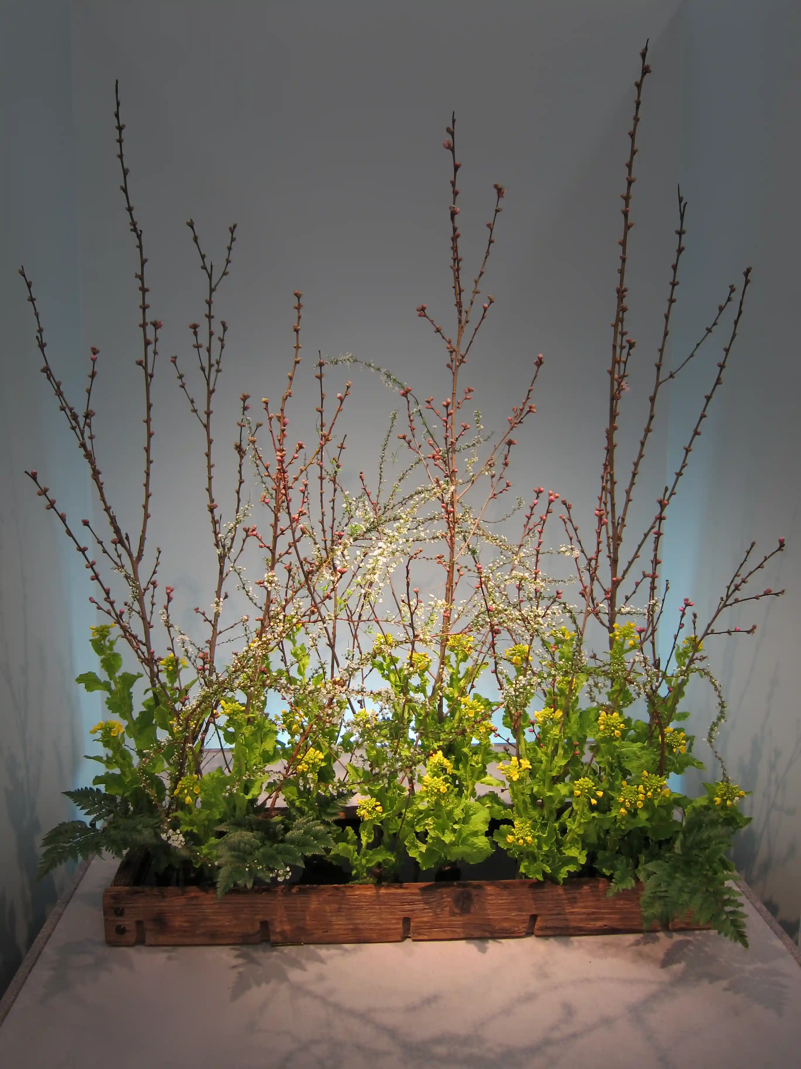 Ikebana_Japanese_flower_arrangement_52,_Ikebana