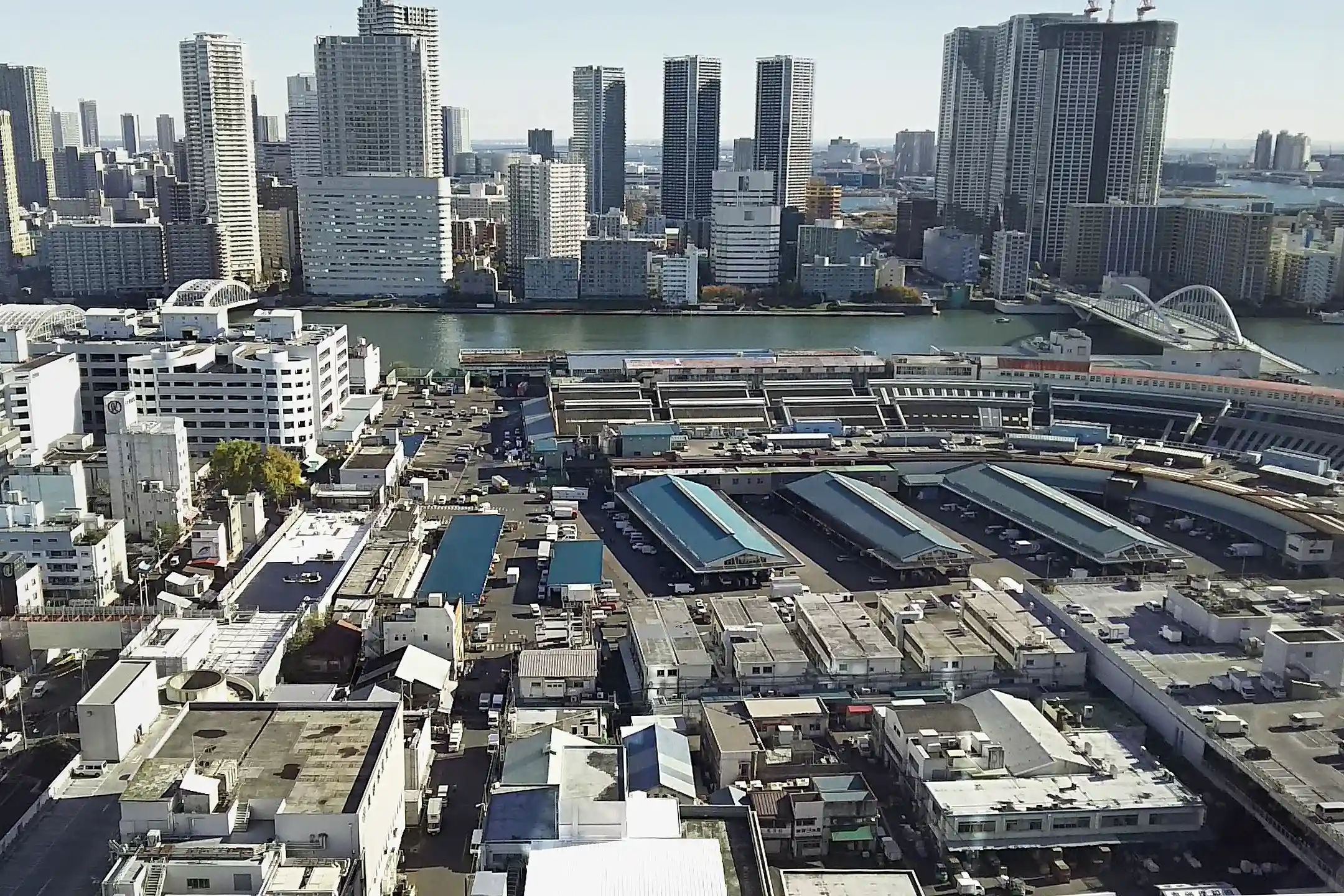 Tsukiji Fish Market Tokyo: The Ultimate Guide to Japan’s Historic Seafood Culture