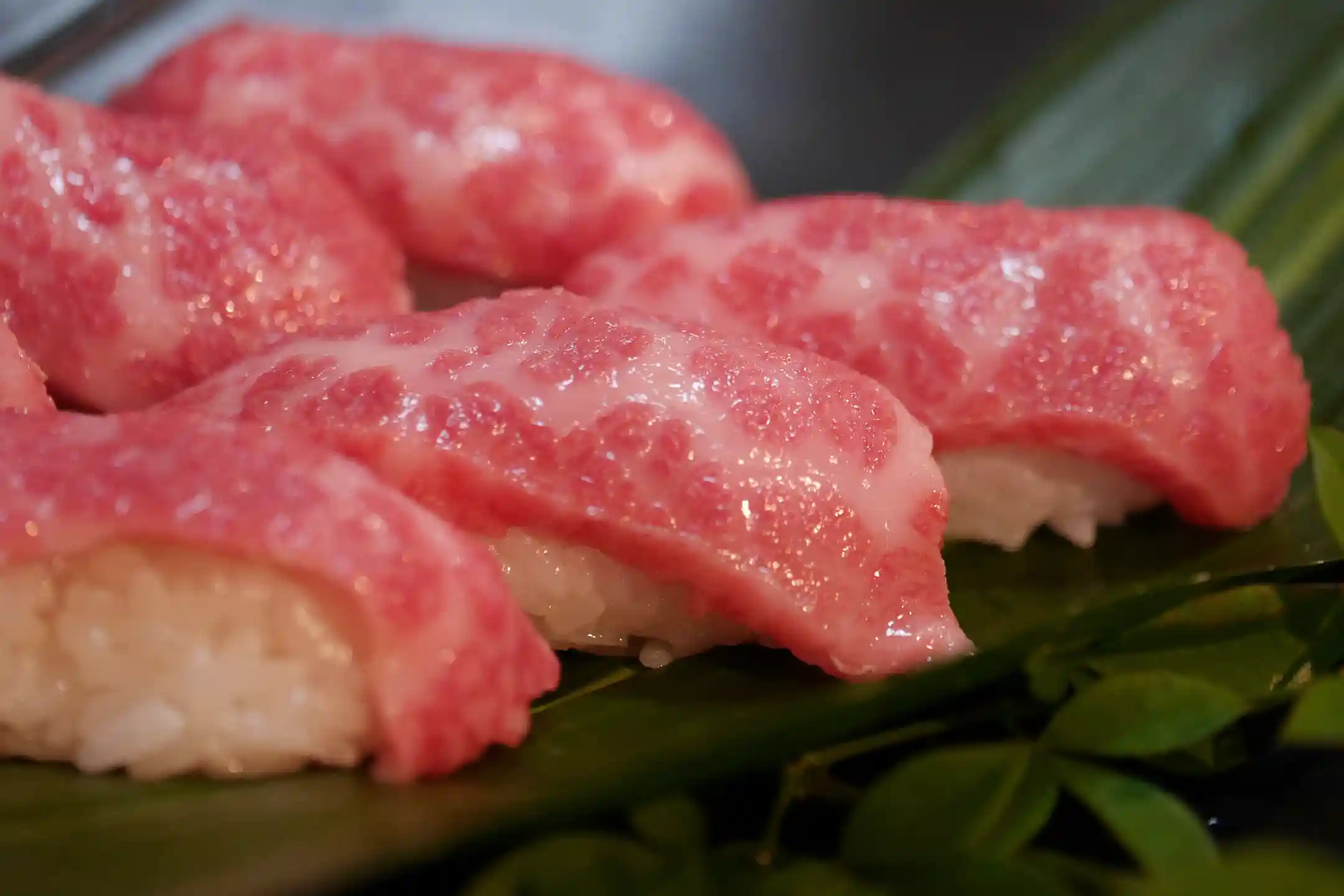 The Complete Guide to Japanese Wagyu Steak｜Where History and Art Converge for the Ultimate Culinary Experience