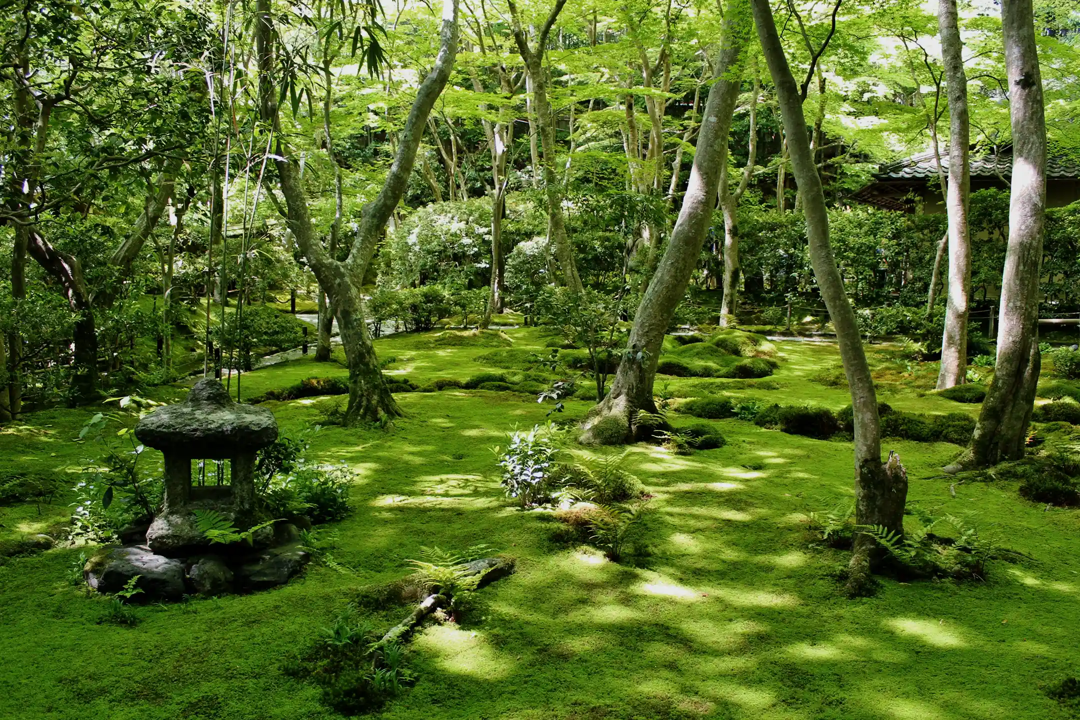 A Special Time in Kyoto Ryokan That Deepens Your Cultural Understanding