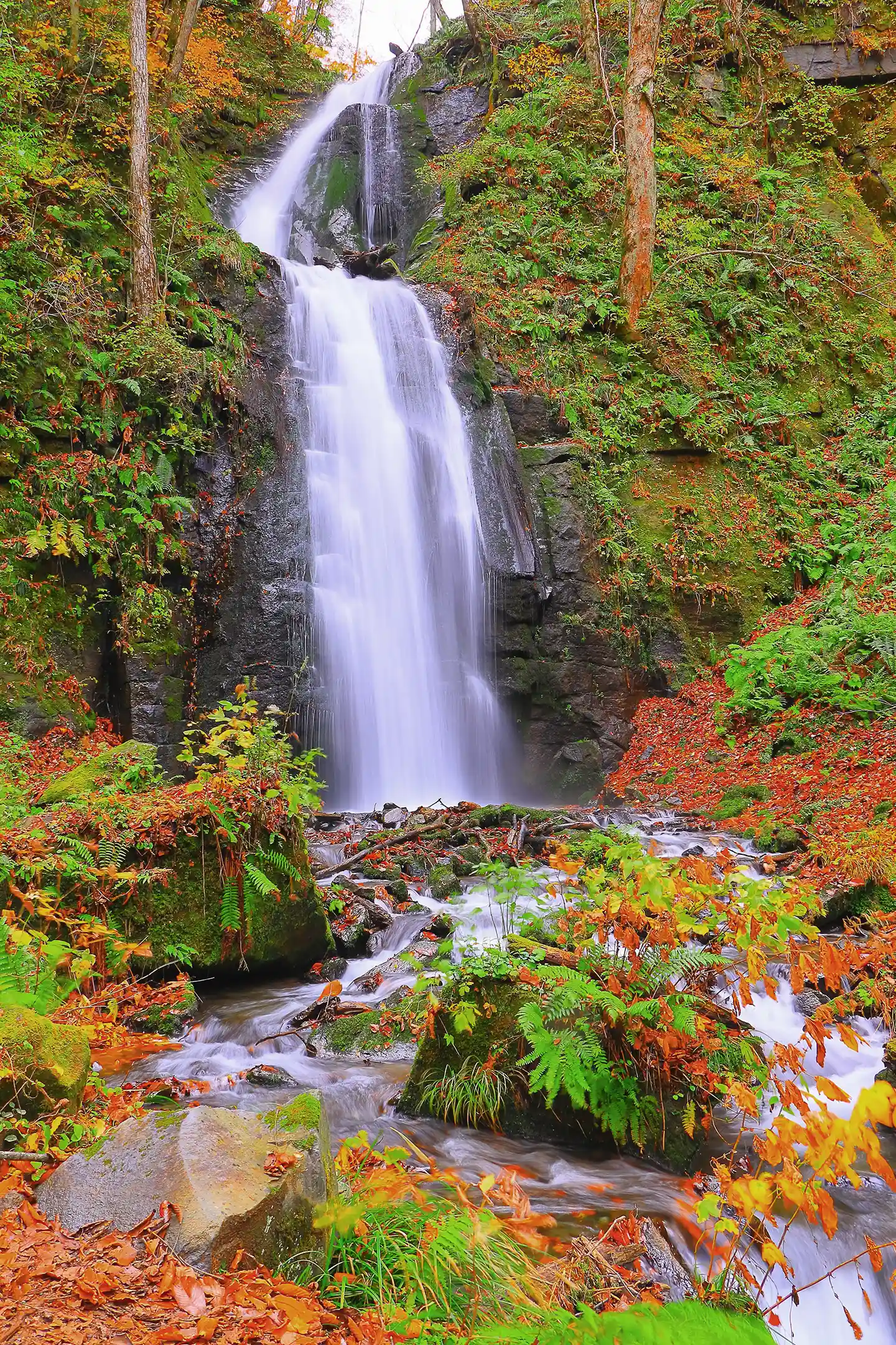 Kumoi Falls in late autumn, Oirase Gorge