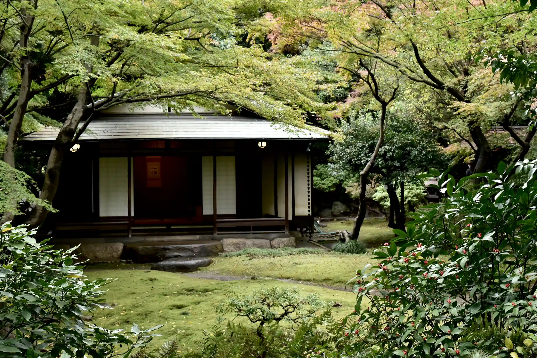 What Is the Traditional Japanese Tea Ceremony? A Complete Guide to Its History, Aesthetics, Etiquette, and the Depth of the Experience