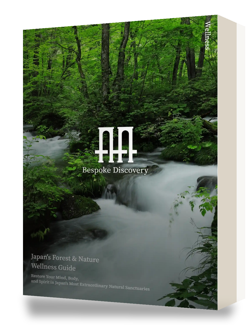 Japan's Forest & Nature Wellness Guide cover, 3D mockup