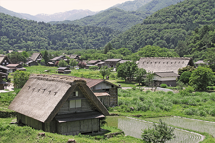 A thatched-roof village in the mountains of Japan, surrounded by rice paddies in summer