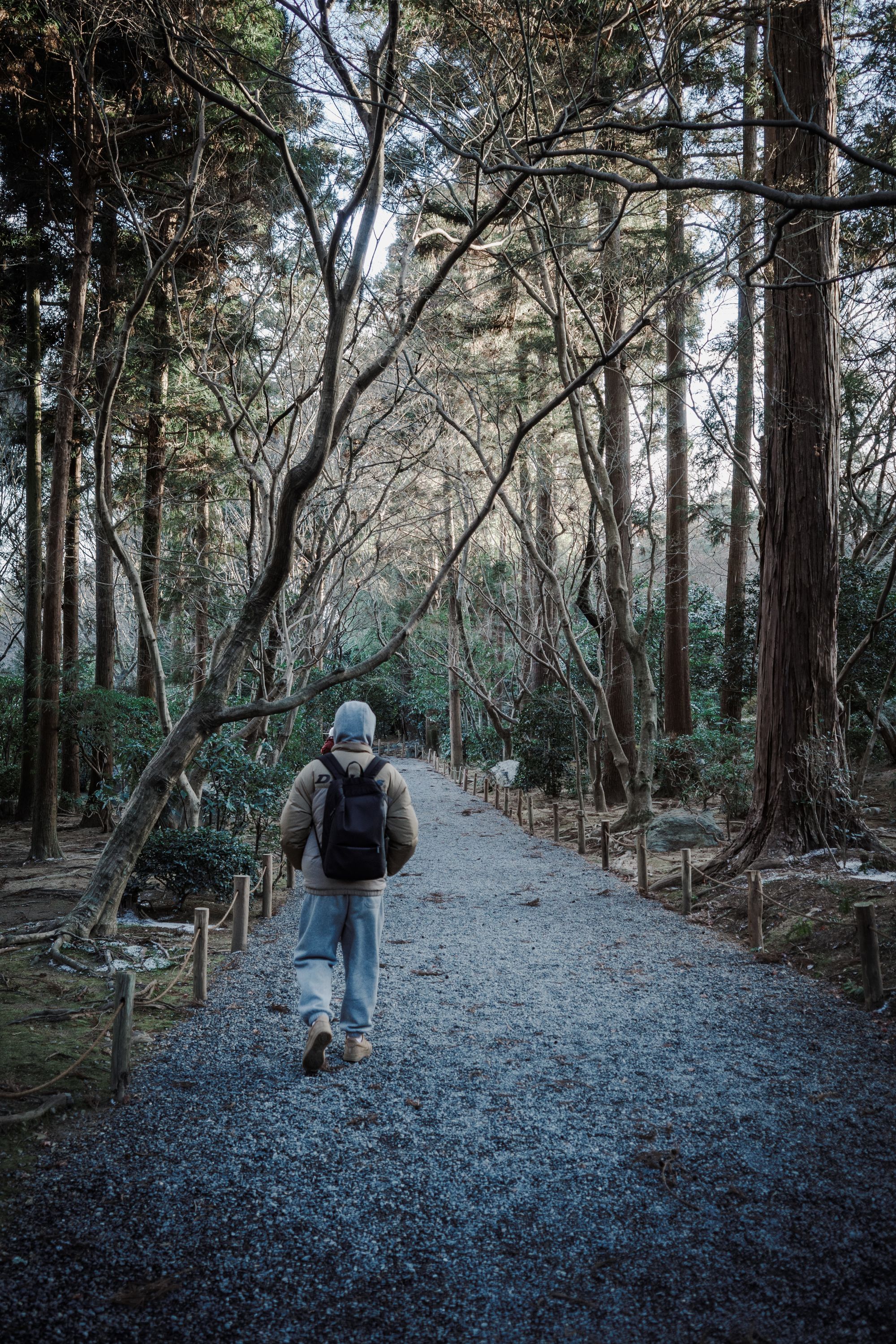 A walker seen from behind follows a quiet gravel path through a forest in Kyoto
