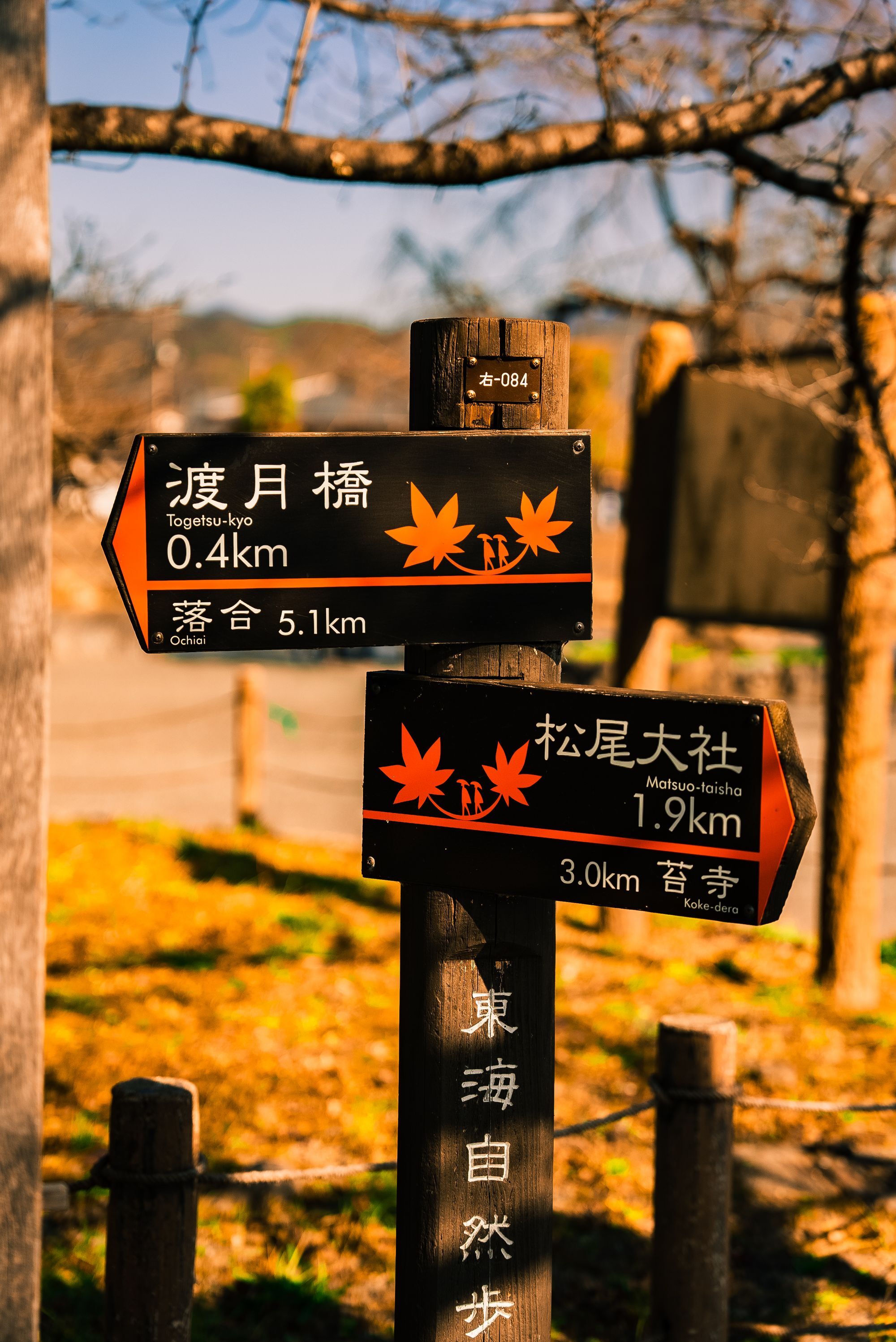 A wooden trail signpost with maple-leaf markers pointing to Togetsukyo Bridge and Matsunoo Taisha in Kyoto