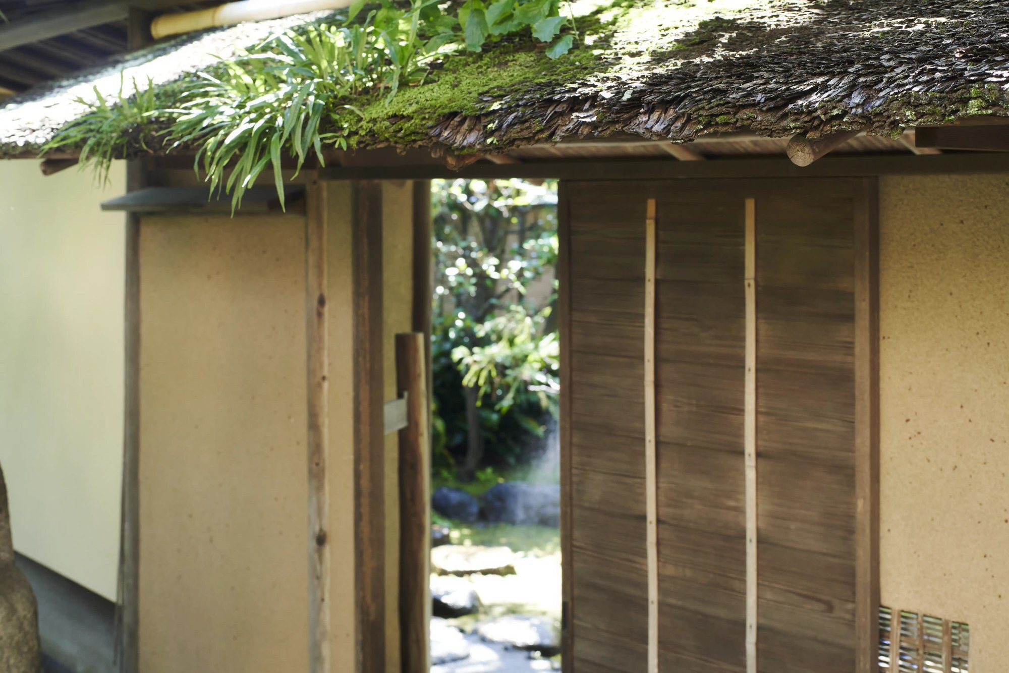 A plain wooden gate under a moss-covered thatched roof