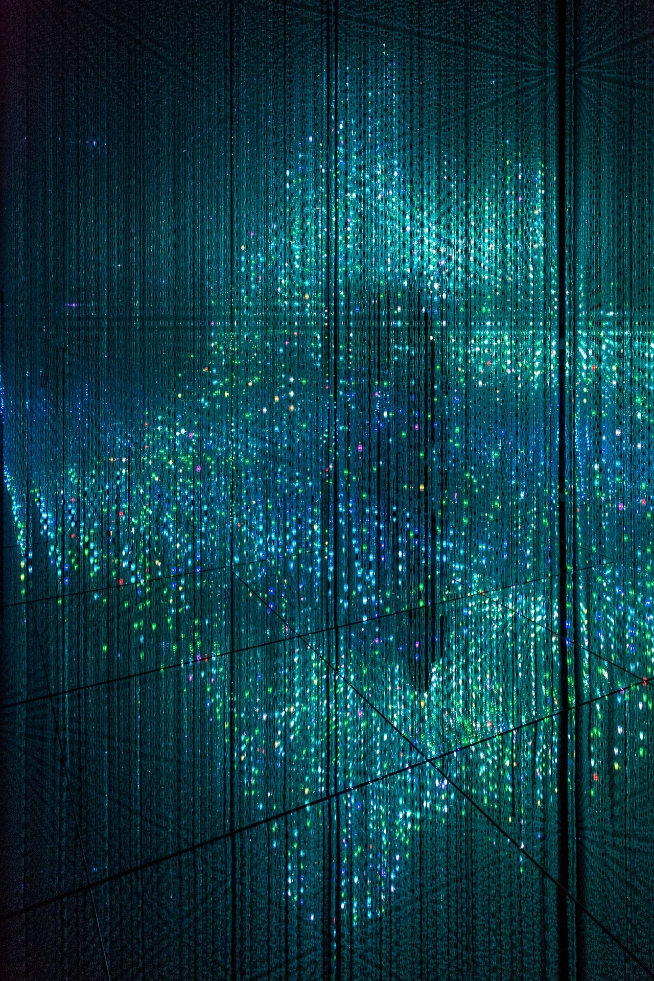 TeamLab_Borderless,_Odaiba,_Tokyo,_Japan_(49070635236)