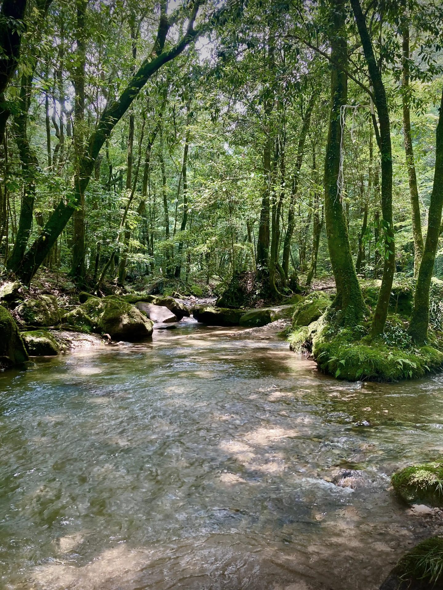 clear stream karuizawa