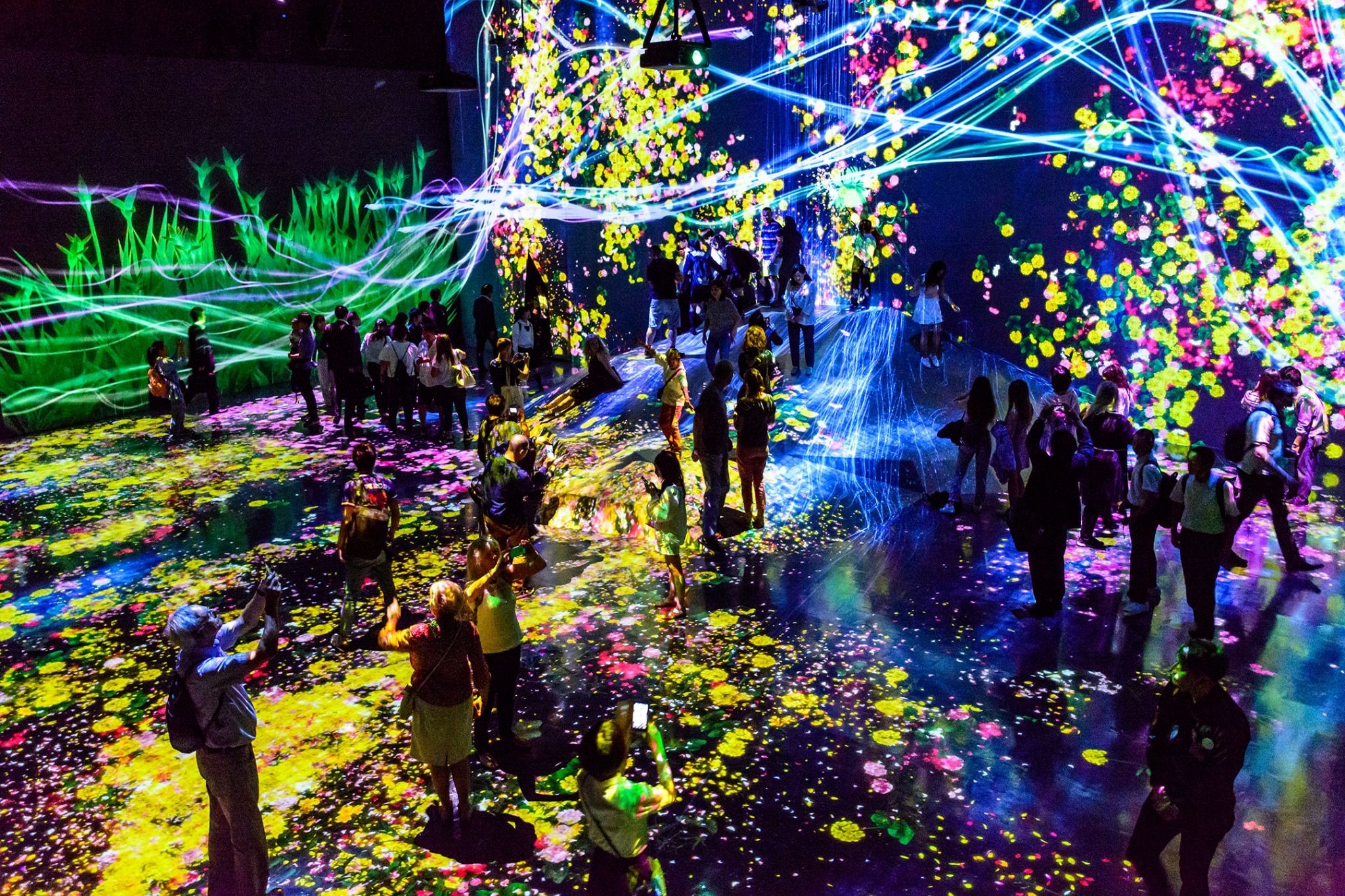 TeamLab Japan Complete Guide: The Shortest Route to a Refined Digital Art Experience