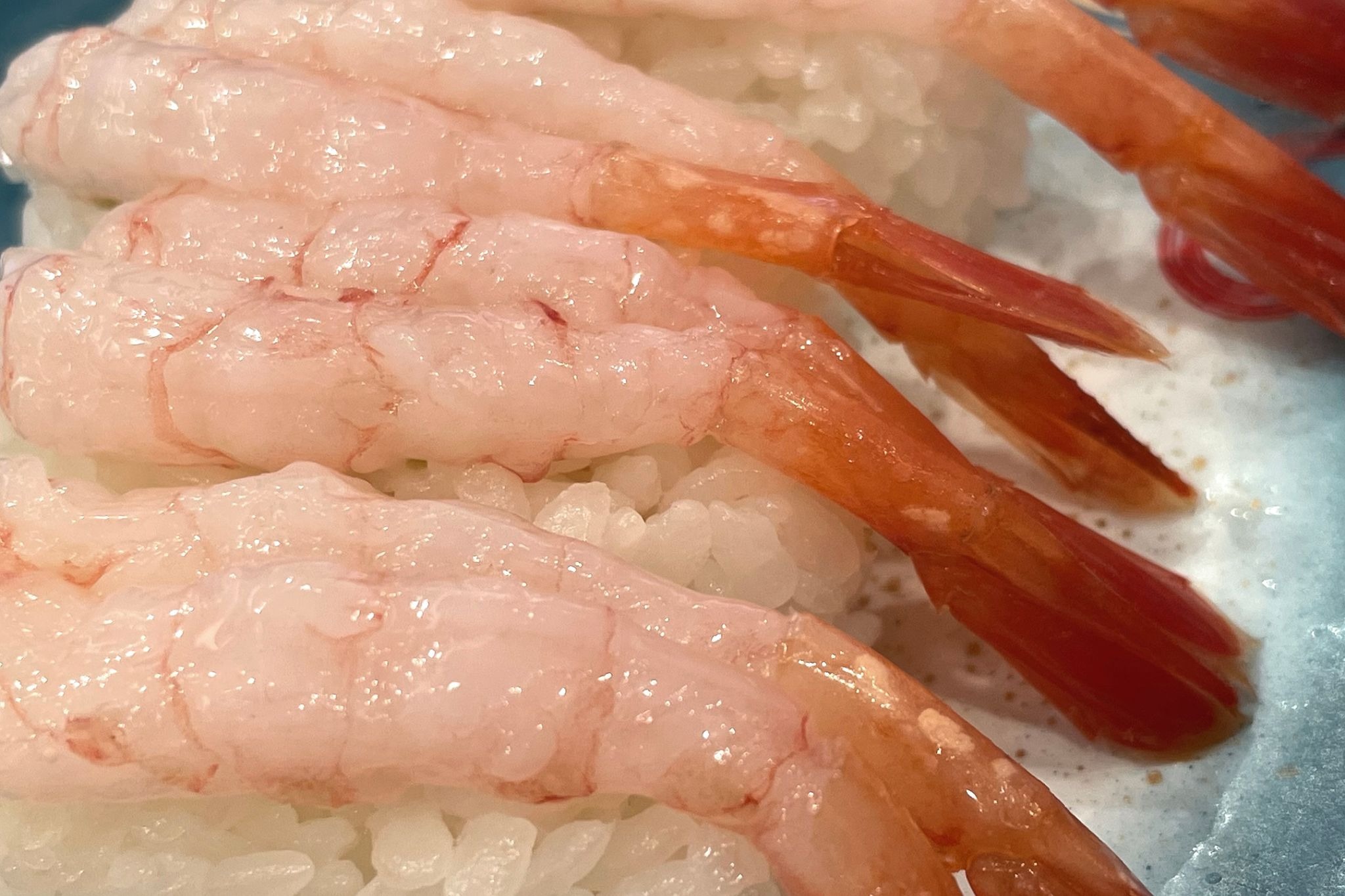 Shrimp Sushi Guide | Types, Seasons, Preparation, and How to Eat It