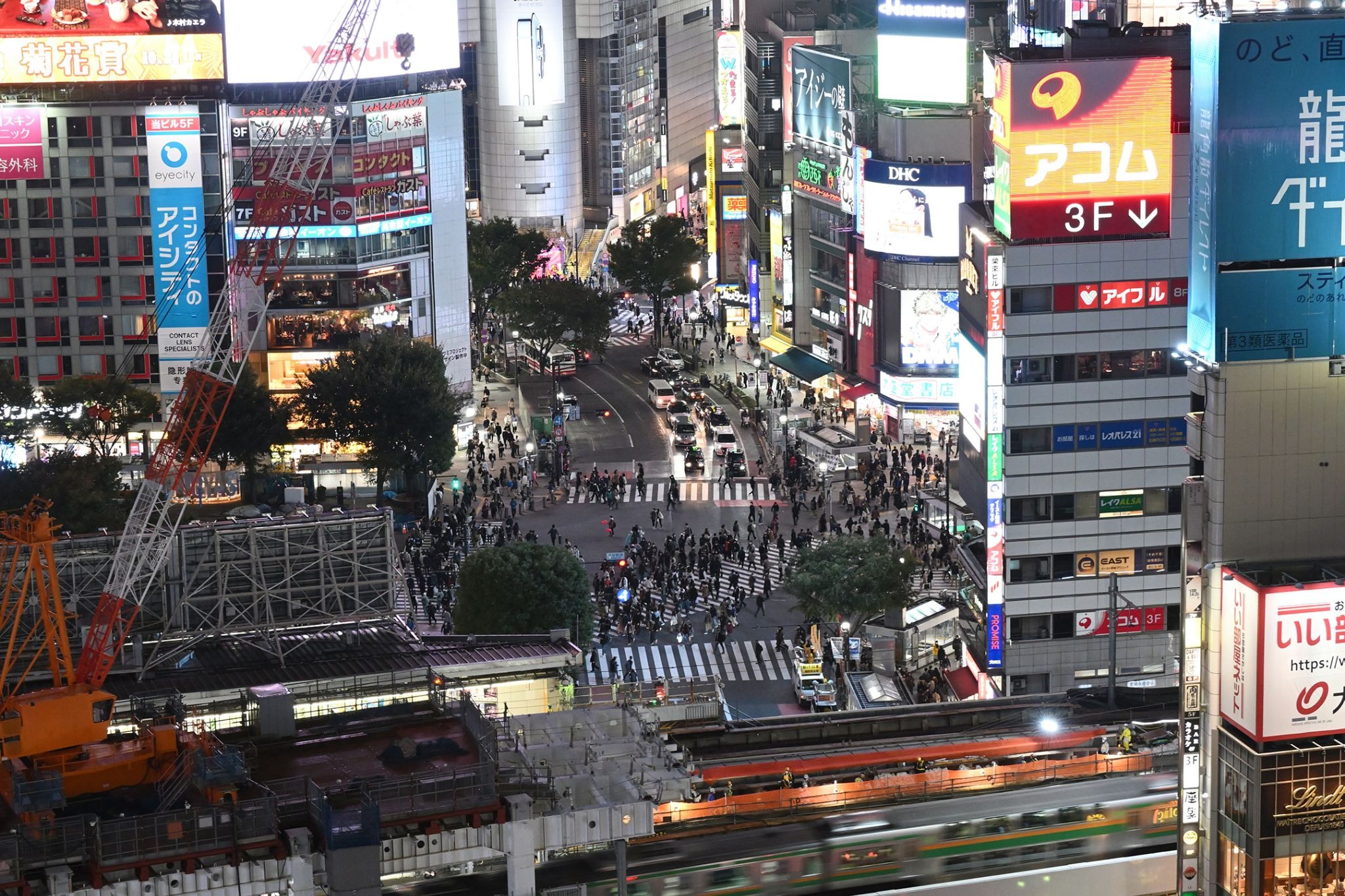 Shibuya Sky Complete Guide｜Tickets・Access・Best Times・Photo Spots
