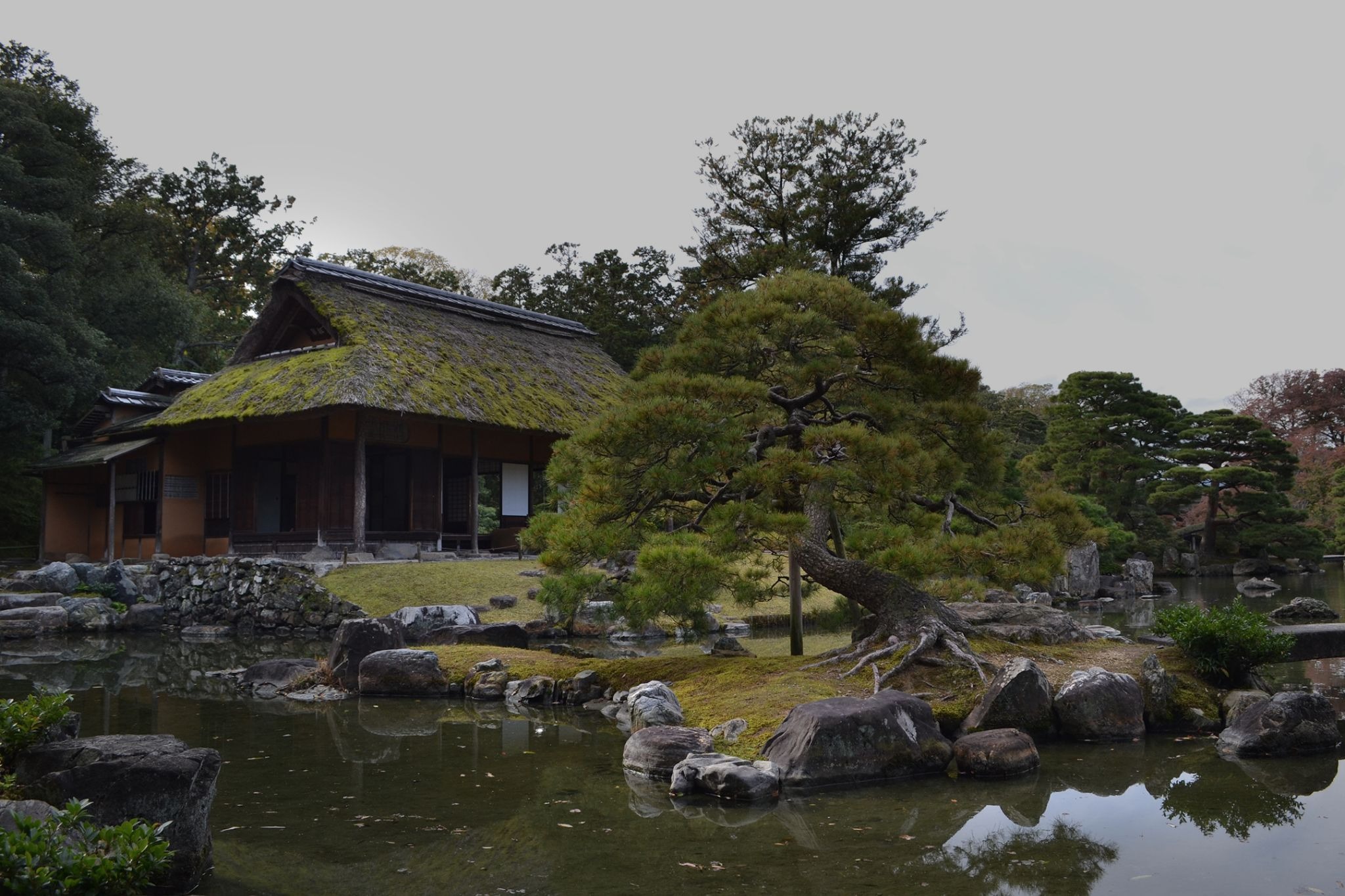 Your Guide to a Japanese Tea Ceremony in Kyoto｜How to Choose, What to Expect, and Essential Etiquette for Beginners