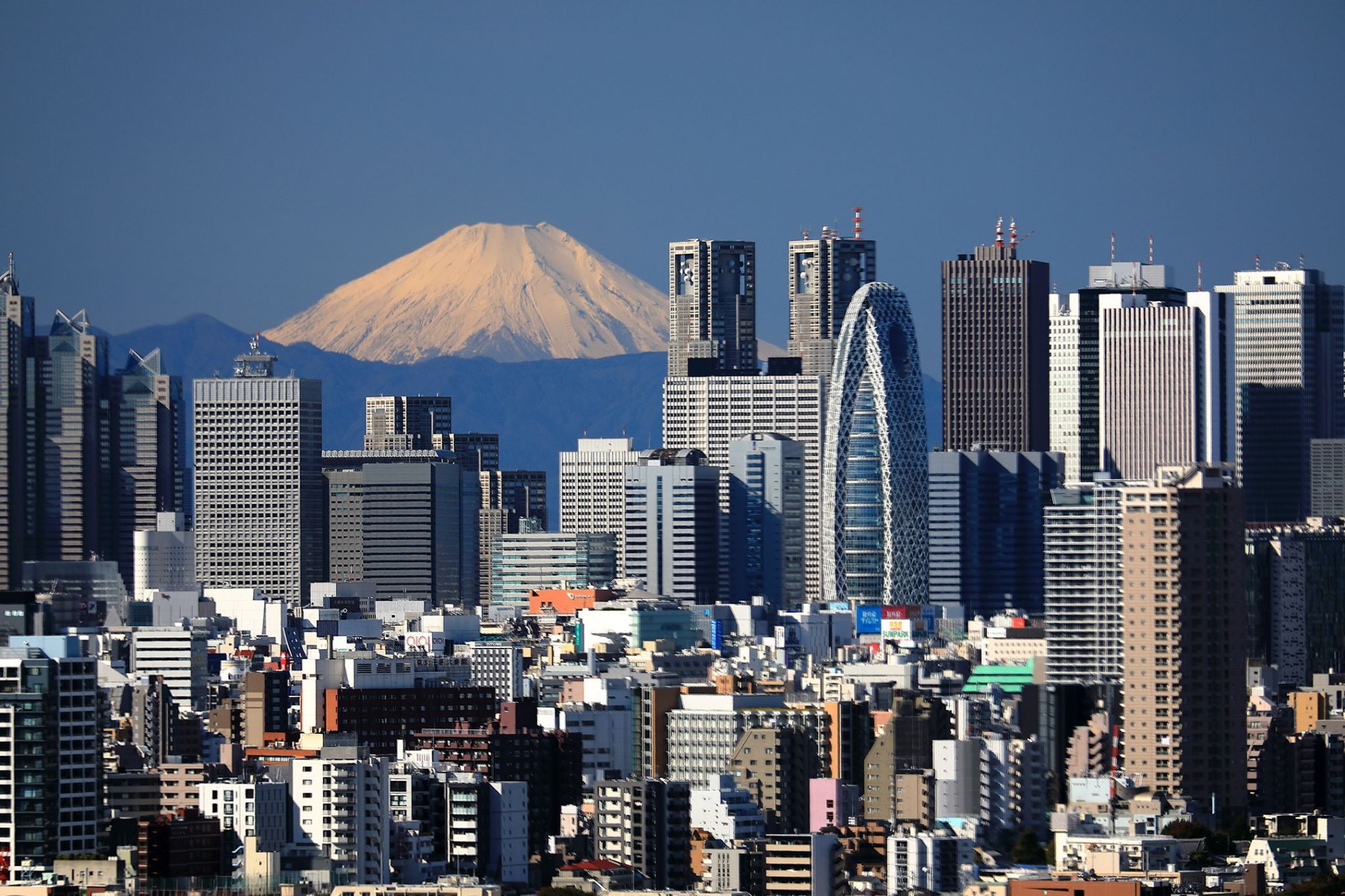 Complete Guide to Things to Do in Shinjuku | A Quieter Way to Enjoy Art, Gardens, Architecture, and Food