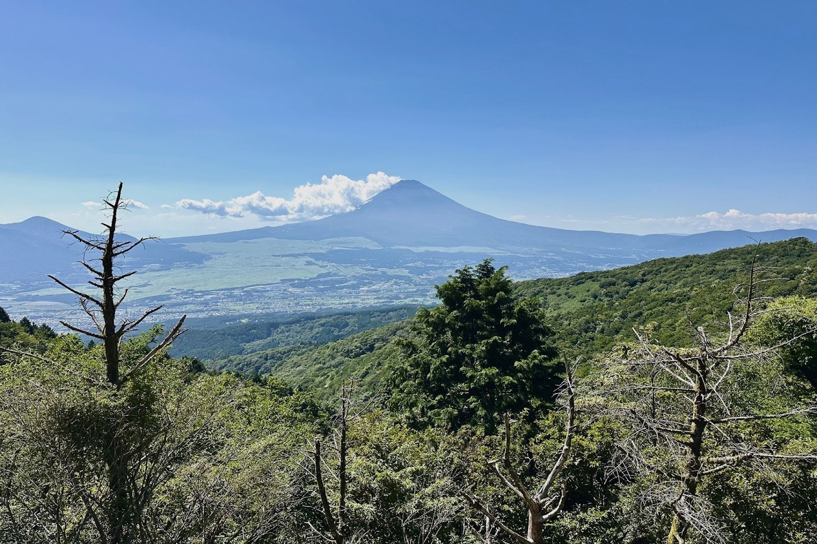Is Hakone Worth Visiting? Unlocking the Value of a Sustainable Luxury Wellness Journey