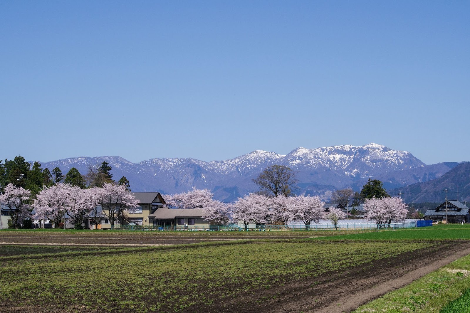 8 Carefully Selected Books on Japanese Culture to Enrich Your Knowledge