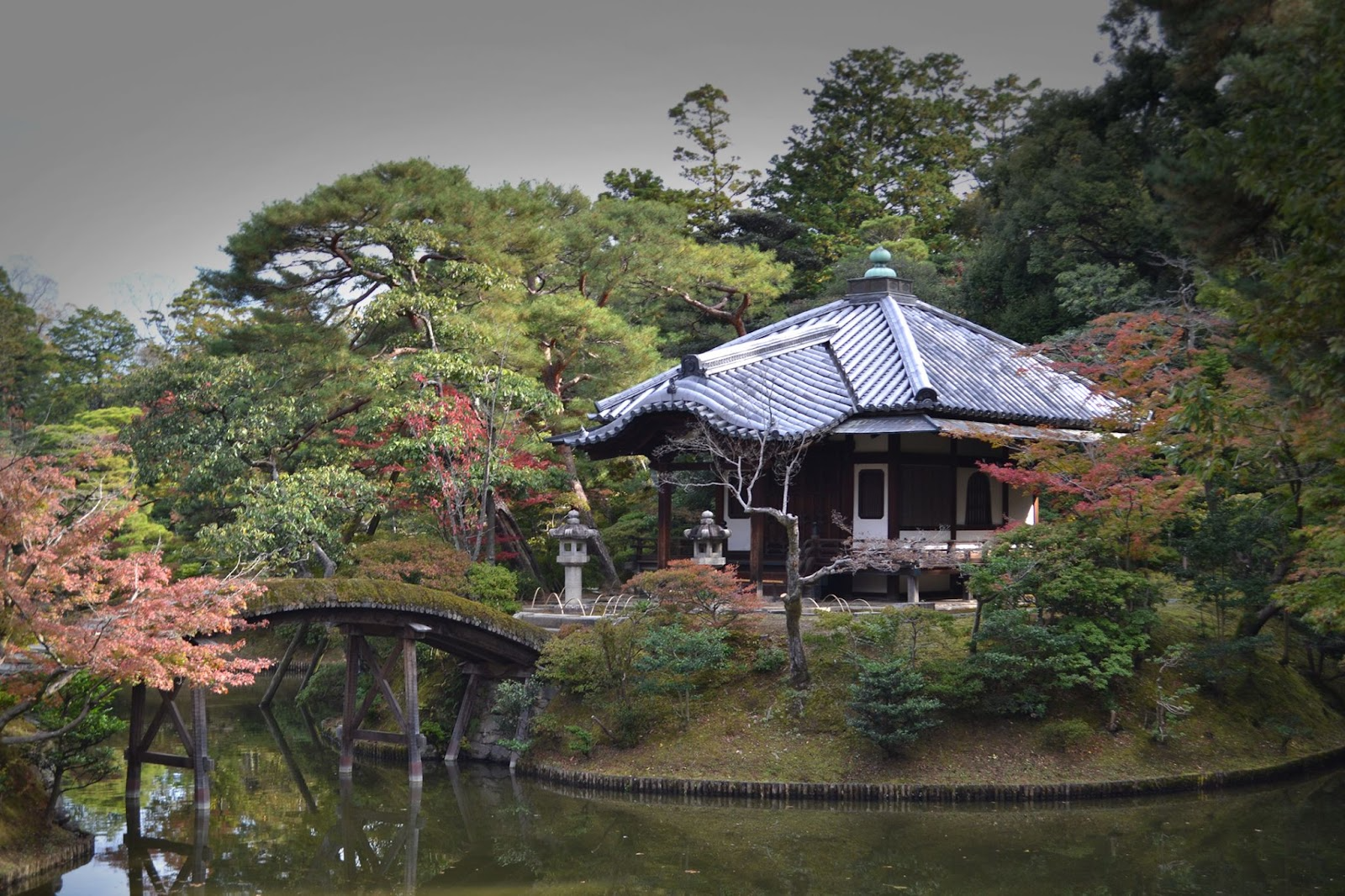 Journey Through Japanese Aesthetics: An Art &amp; Architecture Guide Where Tradition Meets Innovation