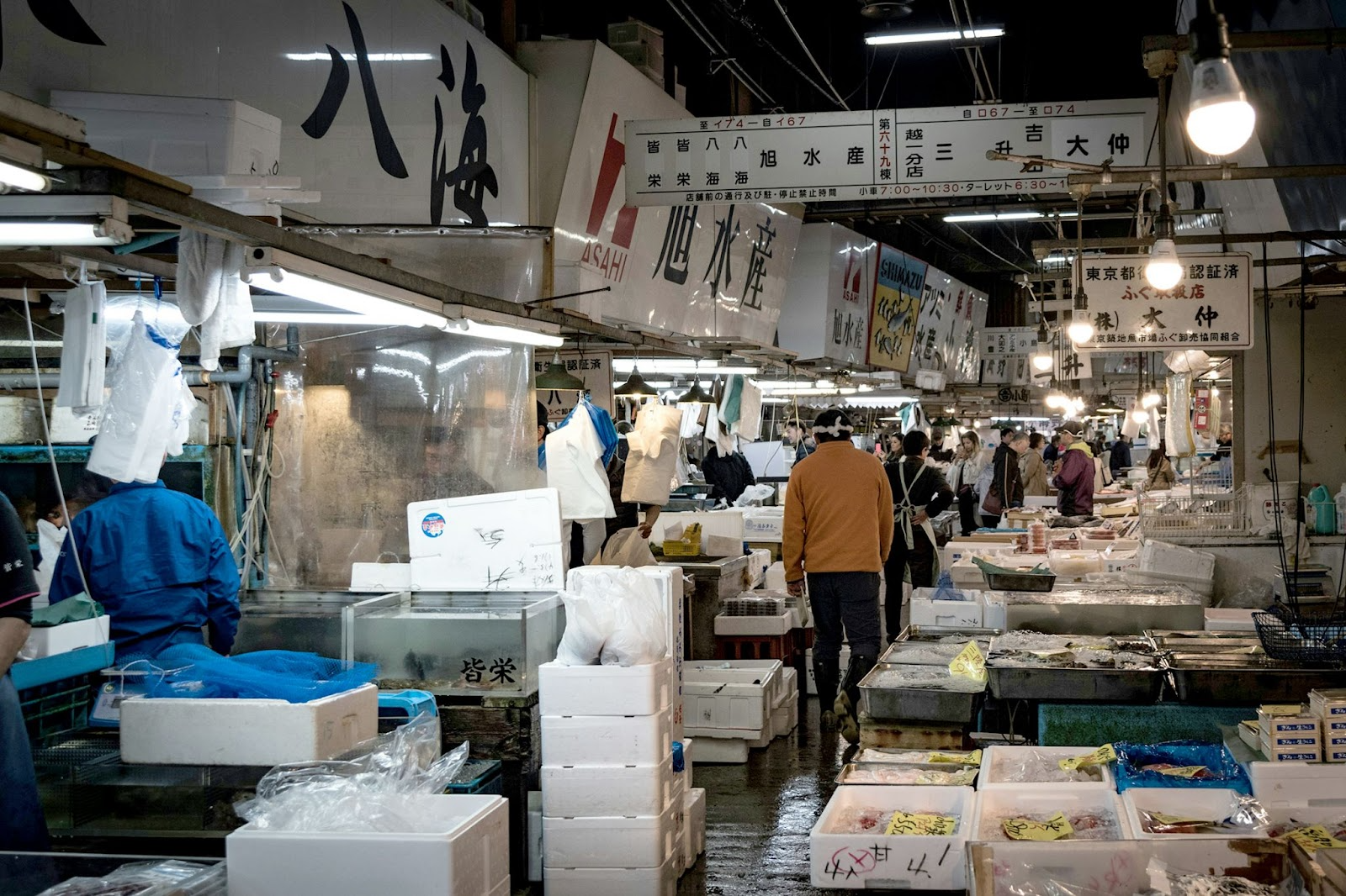 Tsukiji Fish Market Opening Hours: A Complete Guide to Enjoying the Early Morning and Highlights