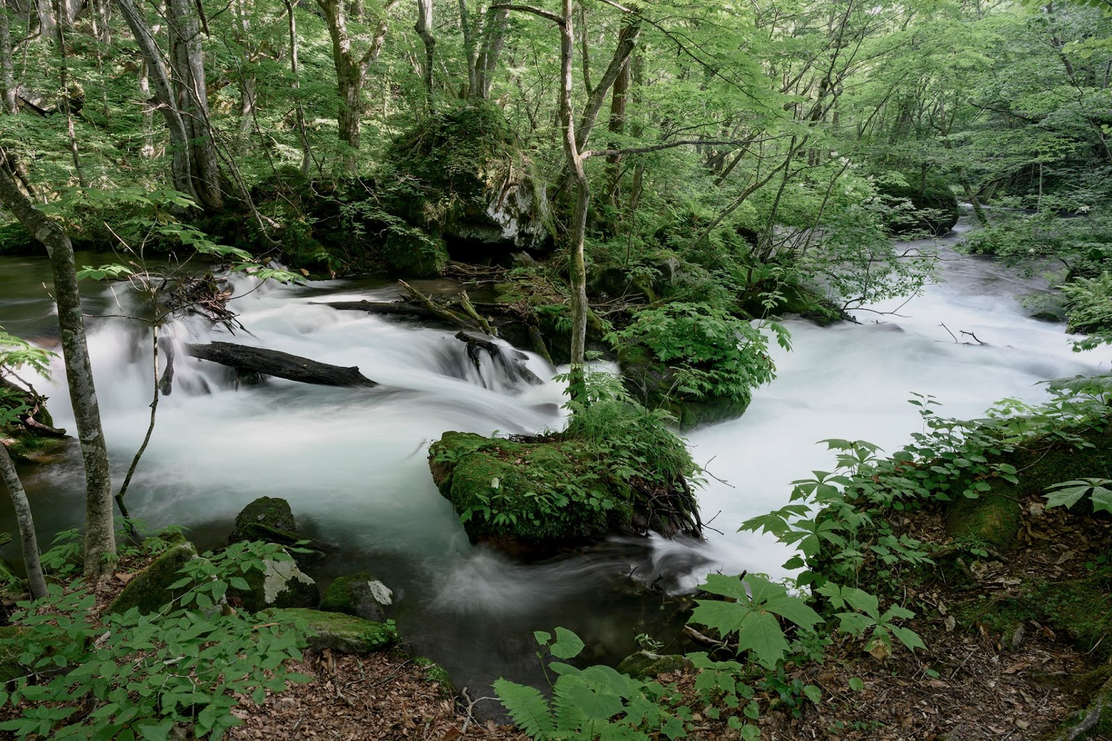 A Luxurious Journey of Wellness and Restoration in Oirase Gorge 〜 A Mindful Holiday that Unites You with Nature 〜