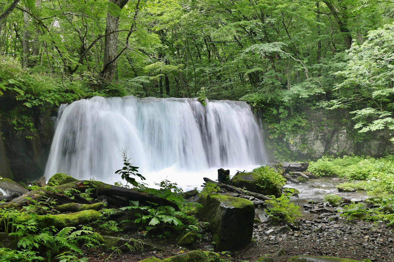 An Immersive Wellness Retreat in Nature at Oirase Gorge (Oirase Keiryū)