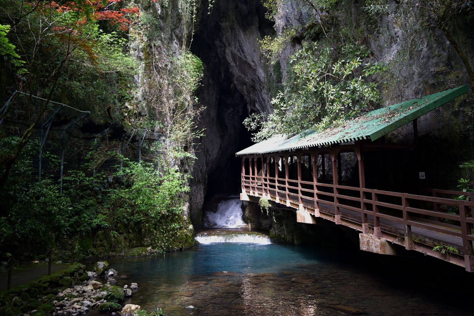Explore Japan family vacation packages that blend wellness, sustainability and culture—safe travel, kid‑friendly resorts, and hands‑on nature itineraries.